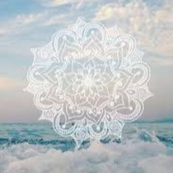 Meet your Posher, Sassou - Picture 1 of 1